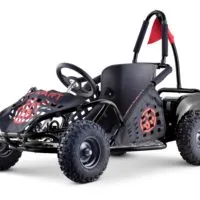 Go-Kart, Kart mit 30Km/h für Kinder ab 13 Jahren mit 1000W und 48V Dragon, King in schwarz